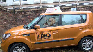 Fake Driving School rá spriccelek a gigantikus barna faszodra